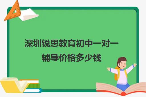 深圳锐思教育初中一对一辅导价格多少钱(深圳教育培训机构前十名)