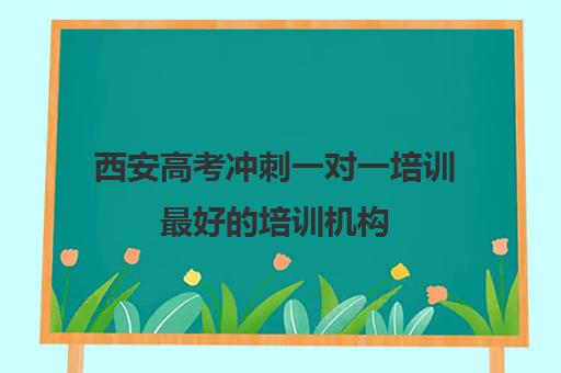 西安高考冲刺一对一培训最好培训机构(小托福一对一培训机构)