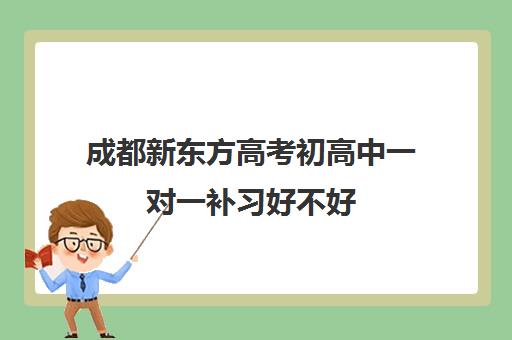 成都新东方高考初高中一对一补习好不好