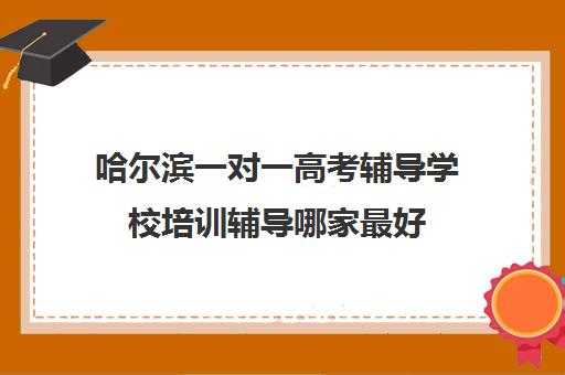 哈尔滨一对一高考辅导学校培训辅导哪家最好(哈尔滨补课机构哪家好)