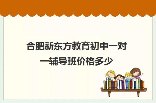 合肥新东方教育初中一对一辅导班价格多少(合肥比较出名辅导班)