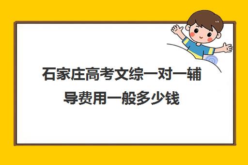 石家庄高考文综一对一辅导费用一般多少钱(石家庄一对一辅导收费标准)