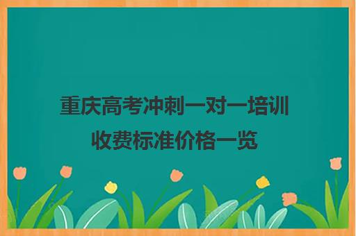 重庆高考冲刺一对一培训收费标准价格一览(高考冲刺班一般收费)