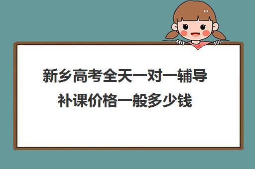 新乡高考全天一对一辅导补课价格一般多少钱(高中补课一对一怎么收费)