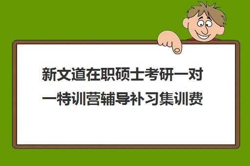 新文道在职硕士考研一对一特训营辅导补习集训费用多少钱