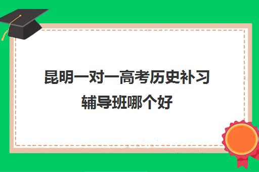 昆明一对一高考历史补习辅导班哪个好