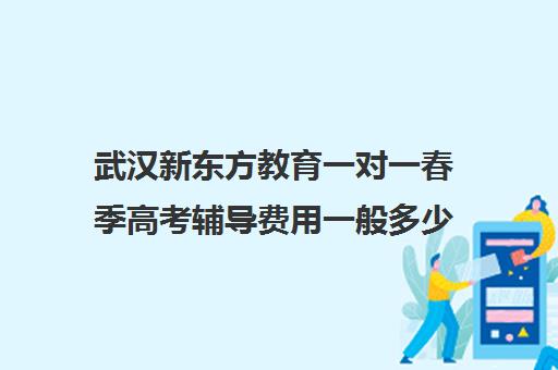 武汉新东方教育一对一春季高考辅导费用一般多少钱(新东方一对一价格)