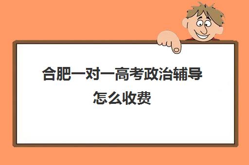 合肥一对一高考政治辅导怎么收费(合肥家教上门辅导作业)