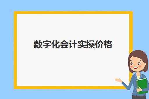 数字化会计实操价格(会计电算化和初级会计证区别)