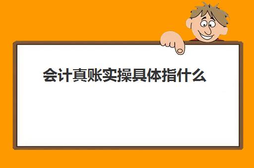 会计真账实操具体指什么(学完实账后能做会计吗)