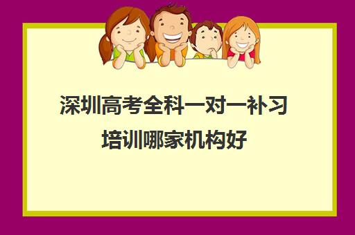 深圳高考全科一对一补习培训哪家机构好