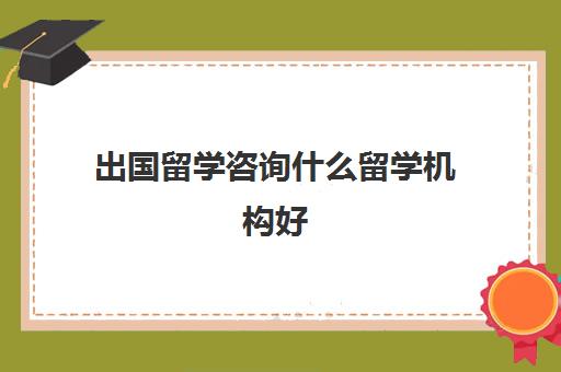 出国留学咨询什么留学机构好(出国留学找中介需要注意哪些事项)