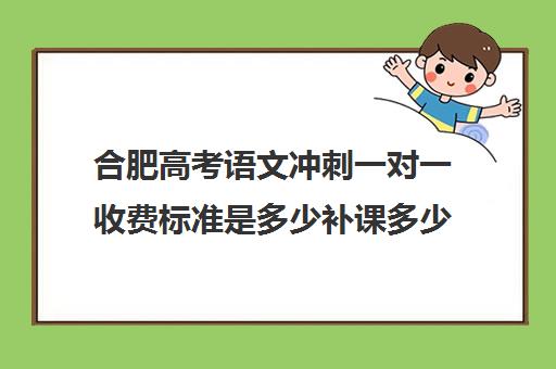 合肥高考语文冲刺一对一收费标准是多少补课多少钱一小时(高三一对一补课一般多少钱一