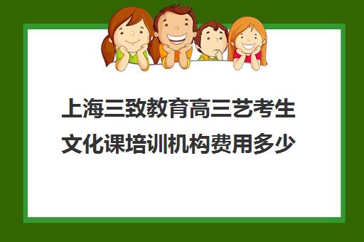 上海三致教育高三艺考生文化课培训机构费用多少钱(高三艺考集训费用多少)