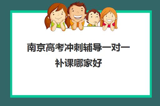 南京高考冲刺辅导一对一补课哪家好(南京初中补课机构哪个好)