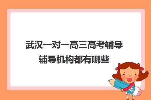 武汉一对一高三高考辅导辅导机构都有哪些(武汉比较好的辅导机构)