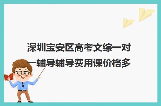 深圳宝安区高考文综一对一辅导辅导费用课价格多少钱(一对一补初中文综价格)