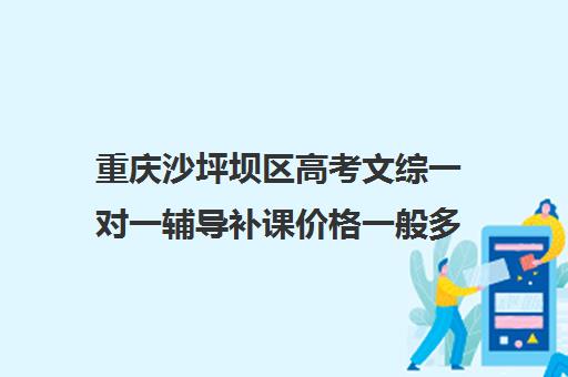 重庆沙坪坝区高考文综一对一辅导补课价格一般多少钱(重庆市高中学费收费标准)