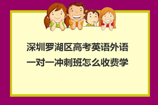 深圳罗湖区高考英语外语一对一冲刺班怎么收费学费多少钱(深圳高中补课一对一价格)