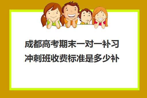 成都高考期末一对一补习冲刺班收费标准是多少补课多少钱一小时