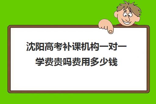 沈阳高考补课机构一对一学费贵吗费用多少钱(高一一对一补课有用吗)