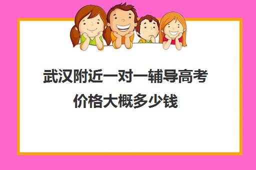 武汉附近一对一辅导高考价格大概多少钱(高三辅导一对一多少钱)