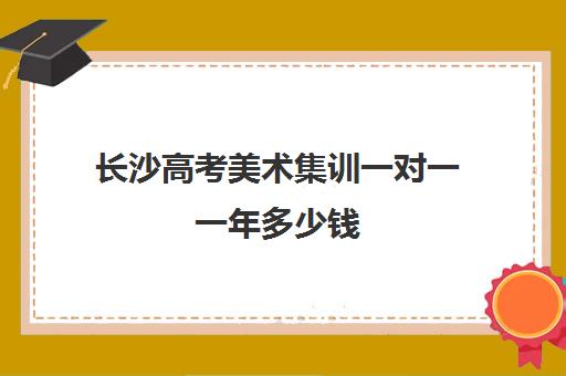 长沙高考美术集训一对一一年多少钱(高三美术集训费用)