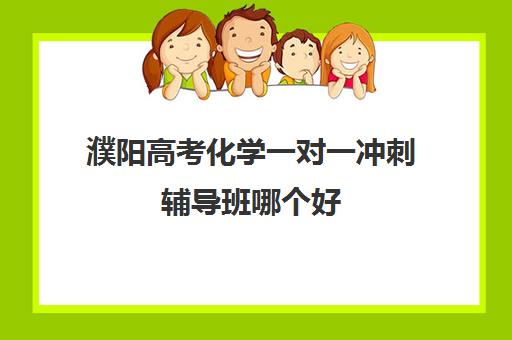 濮阳高考化学一对一冲刺辅导班哪个好(高中补课学而思好还是新东方好)