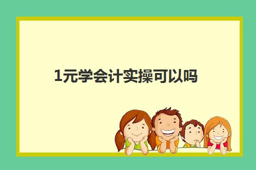 1元学会计实操可以吗(初学会计最简单方法)