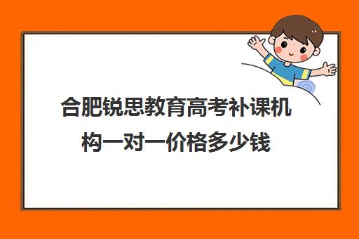 合肥锐思教育高考补课机构一对一价格多少钱(高三补课辅导班)