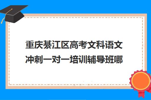 重庆綦江区高考文科语文冲刺一对一培训辅导班哪个好(重庆高中一对一辅导收费标准)