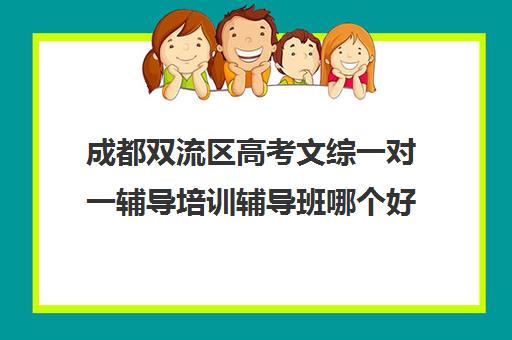 成都双流区高考文综一对一辅导培训辅导班哪个好(成都高考培训班哪个机构好一点)