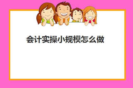 会计实操小规模怎么做(小规模纳税人做账全部流程)