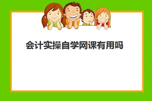 会计实操自学网课有用吗(学会计上网课好还是实体课好)