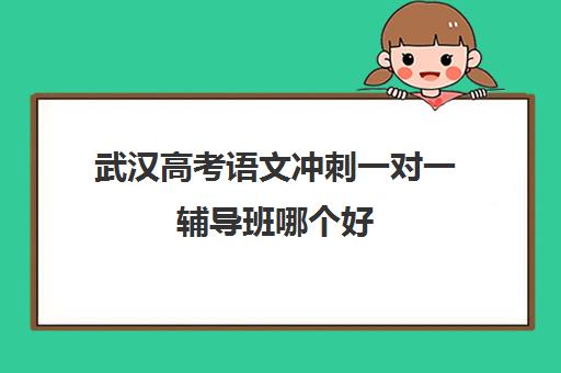 武汉高考语文冲刺一对一辅导班哪个好(高考线上辅导机构有哪些比较好)