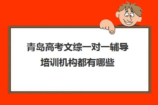 青岛高考文综一对一辅导培训机构都有哪些(一对一补初中文综价格)