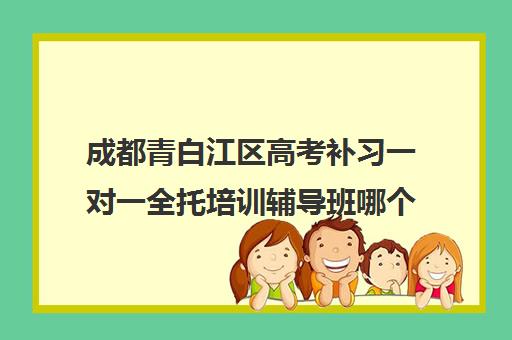 成都青白江区高考补习一对一全托培训辅导班哪个好