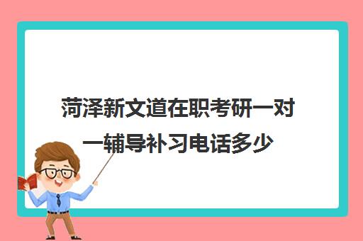 菏泽新文道在职考研一对一辅导补习电话多少