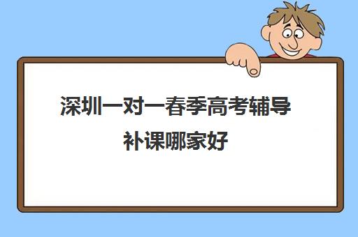 深圳一对一春季高考辅导补课哪家好(广东最出名高职高考辅导班)