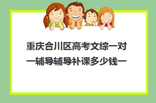 重庆合川区高考文综一对一辅导辅导补课多少钱一小时(重庆高中补课机构口碑排行榜)