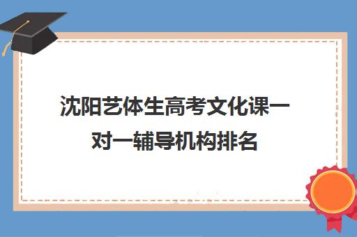 沈阳艺体生高考文化课一对一辅导机构排名(艺考生一对一的辅导)