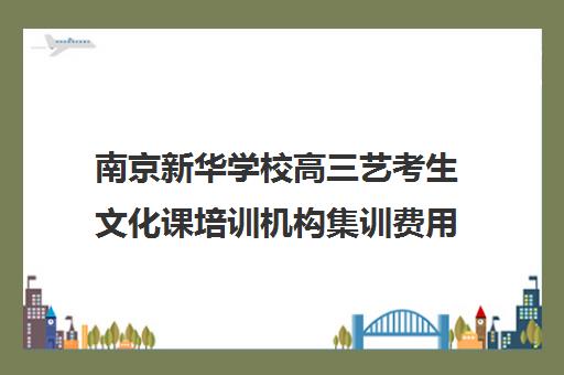 南京新华学校高三艺考生文化课培训机构集训费用多少钱(南京艺术学校学费多少)