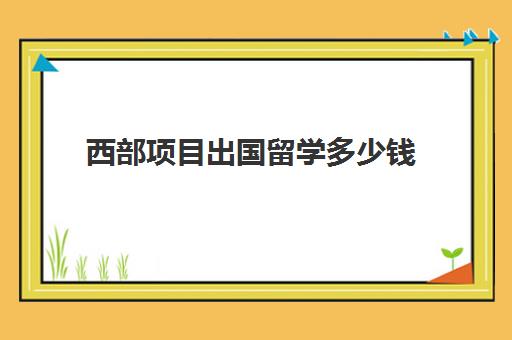 西部项目出国留学多少钱(中外合作办学没钱出国怎么办)