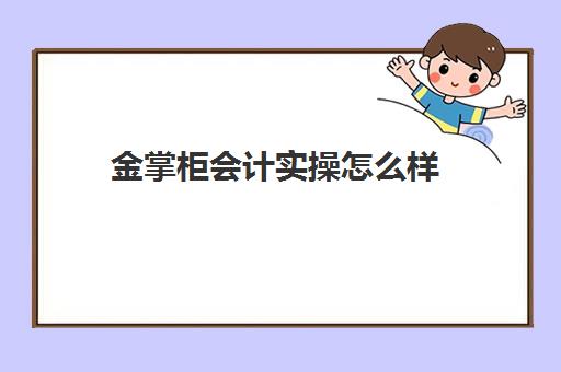 金掌柜会计实操怎么样(金账本会计培训怎么样)