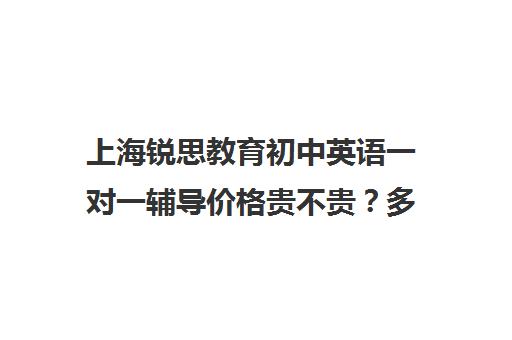 上海锐思教育初中英语一对一辅导价格贵不贵？多少钱一年（上海一对一补课一般多少钱一