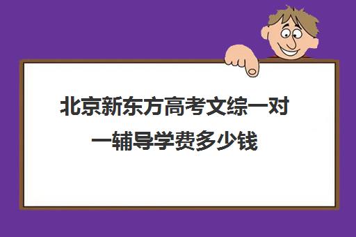 北京新东方高考文综一对一辅导学费多少钱（新东方高三一对一好吗）