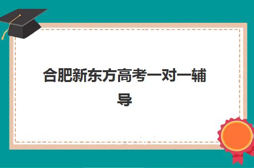 合肥新东方高考一对一辅导(高三一对一培训机构)