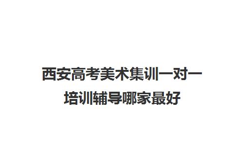 西安高考美术集训一对一培训辅导哪家最好(高三美术集训费用大概多少)