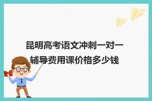 昆明高考语文冲刺一对一辅导费用课价格多少钱(昆明高考冲刺班排前十名)