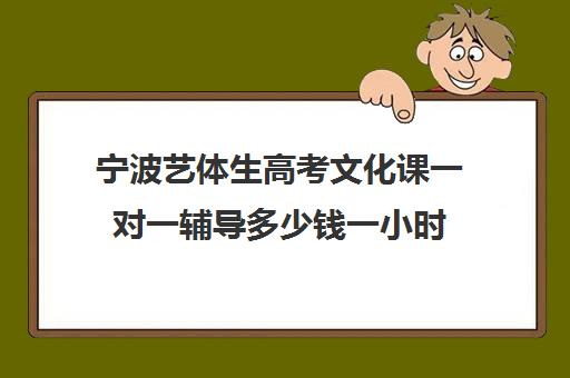 宁波艺体生高考文化课一对一辅导多少钱一小时(艺考生一对一辅导)